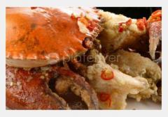 金唐海鲜酒家 Golden Century Seafood