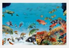 金唐海鲜酒家 Golden Century Seafood