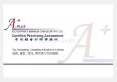 A-Plus Accountant and Business Consultant