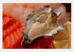 金唐海鲜酒家 Golden Century Seafood