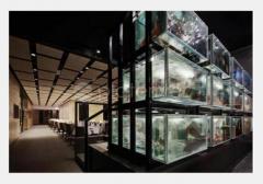 金唐荟 The Century