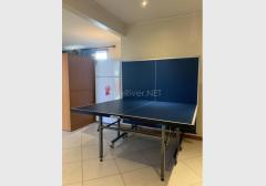 Near New Quality Table Tennis Table for Sale